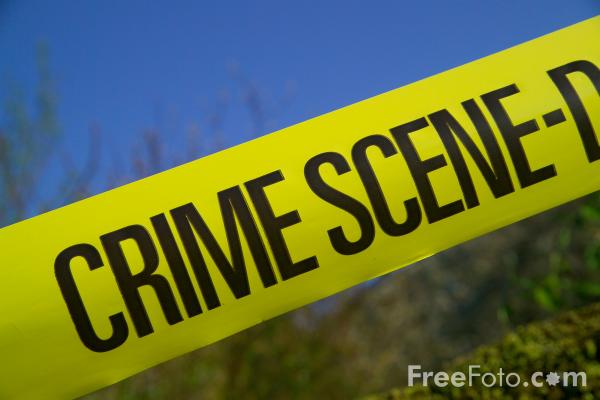 10 Best Crime Movies Based On R...